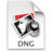 DNG